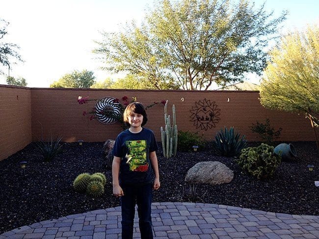 little boy standing near the garden with cactus on his background