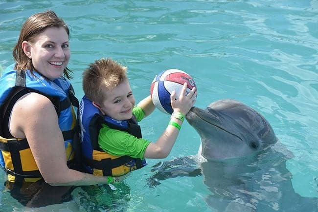 mother holding her little child while playing with a dolphin