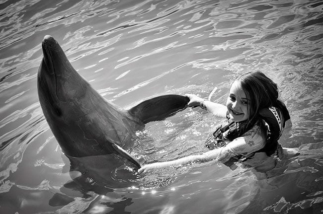 young girl enjoying the dolphin encounter