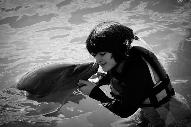 young boy being kissed by a dolphin