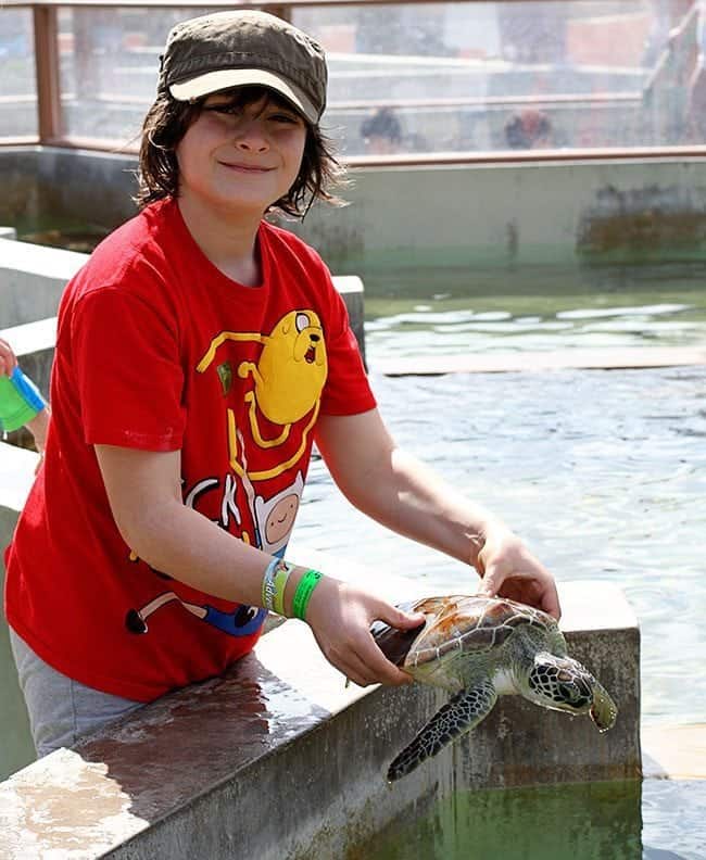 young boy in red shirt holding a turtle