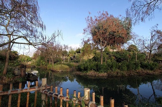 Disneyland Paris lush with tress, a river that goes through Frontierland and Adventureland