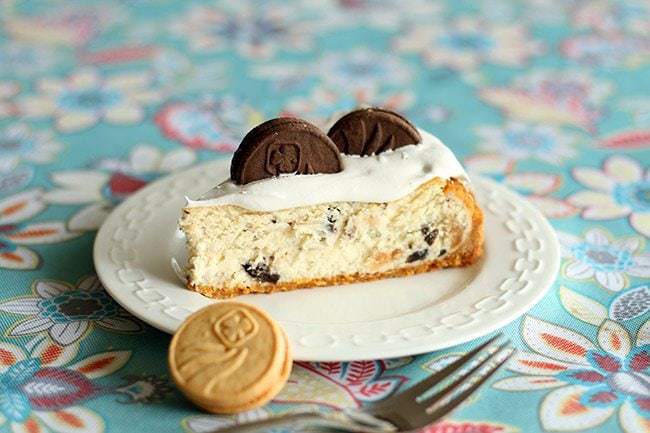 A plate with a Slice of Cookie Cheesecake topped with whipped cream and Girl Guide Cookie
