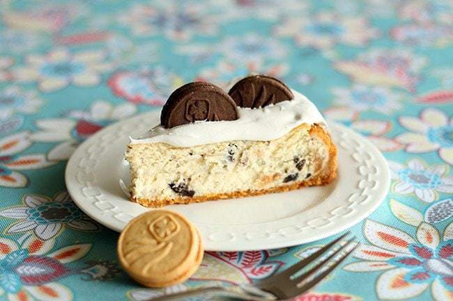 Close up Slice of Cookie Cheesecake topped with whipped cream and Girl Guide Cookie