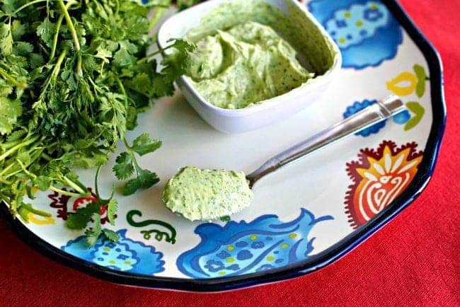 Cilantro Butter in a white ceramic bowl and in a spoon, fresh cilantro beside it on a printed plate