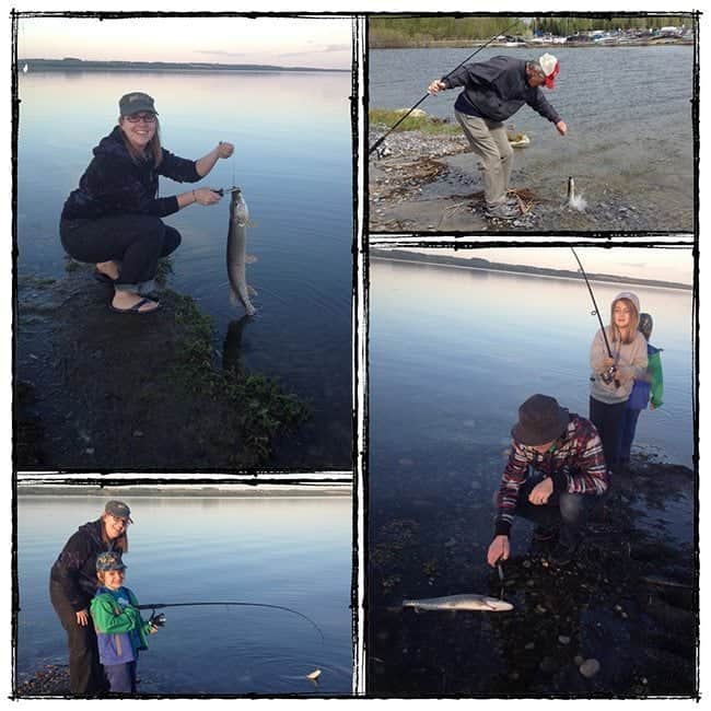 collage of family picture during summer doing fishing