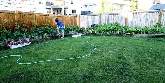 young boy watering the plants near the fence