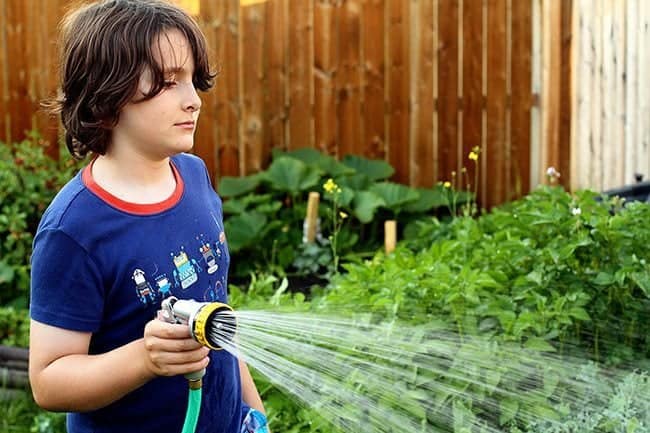 close up of a young boy wearing blue shirt watering the plants