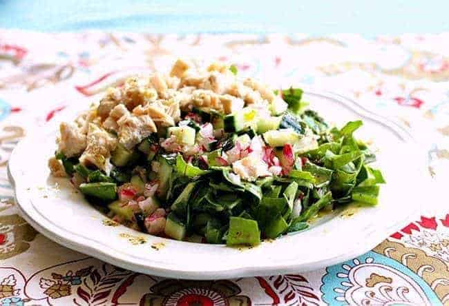 Chicken, Radish and Cucumber Swiss Chard Chopped Salad in a White Plate