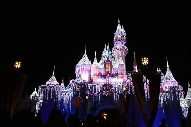 The Sleeping Beauty's Castle view at night