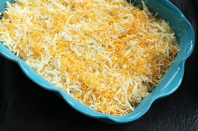 taco pasta shells topped with shredded cheese in a baking pan