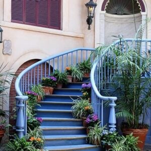 Court des Anges at Disneyland - blue painted stair with pot of plants in each step