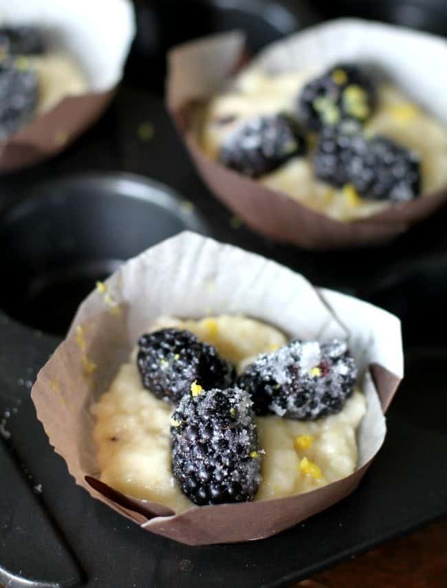 three blackberries rolled in sugar and placed on top of Lemon Blackberry Muffin dough 