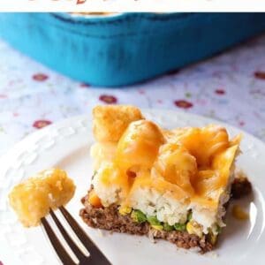 Shipwreck Casserole (In the Slow Cooker) - The Kitchen Magpie