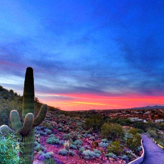 view of dessert sunset with with the pink glow 