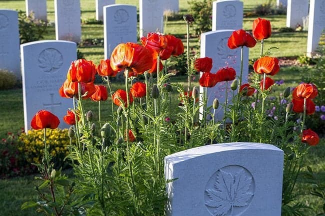 Red flowers near the graves on Bény-sur-Mer Canadian War Cemetery