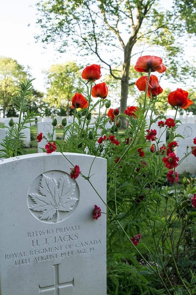 Close up of graves in Bény-sur-Mer Canadian War Cemetery with red flower blooming