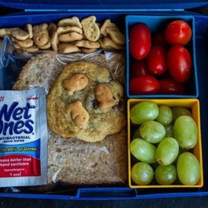 Lunchbox with fruits, sandwich, chocolate chip cookies and hand wipes