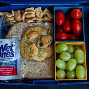 Lunchbox with fruits, sandwich, chocolate chip cookies and hand wipes