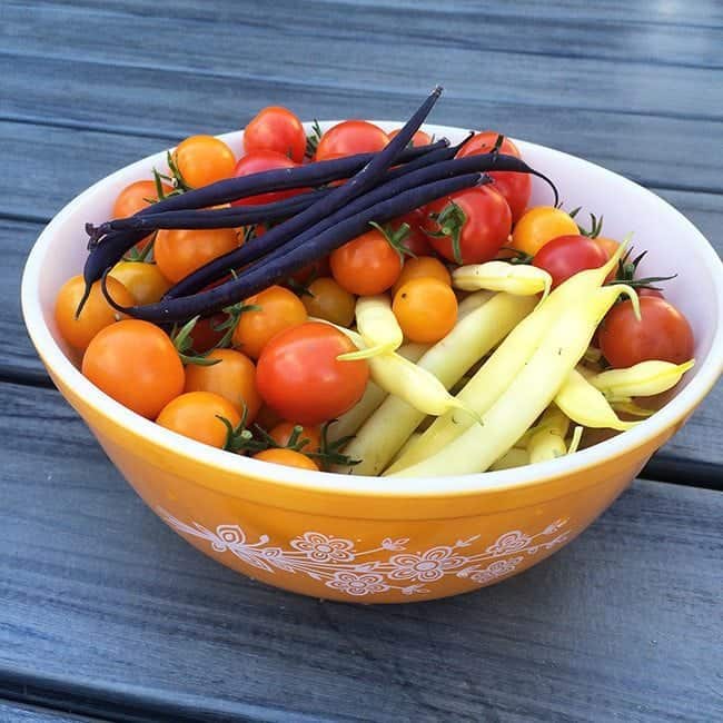 Garden vegetables in a Pyrex orange bowl