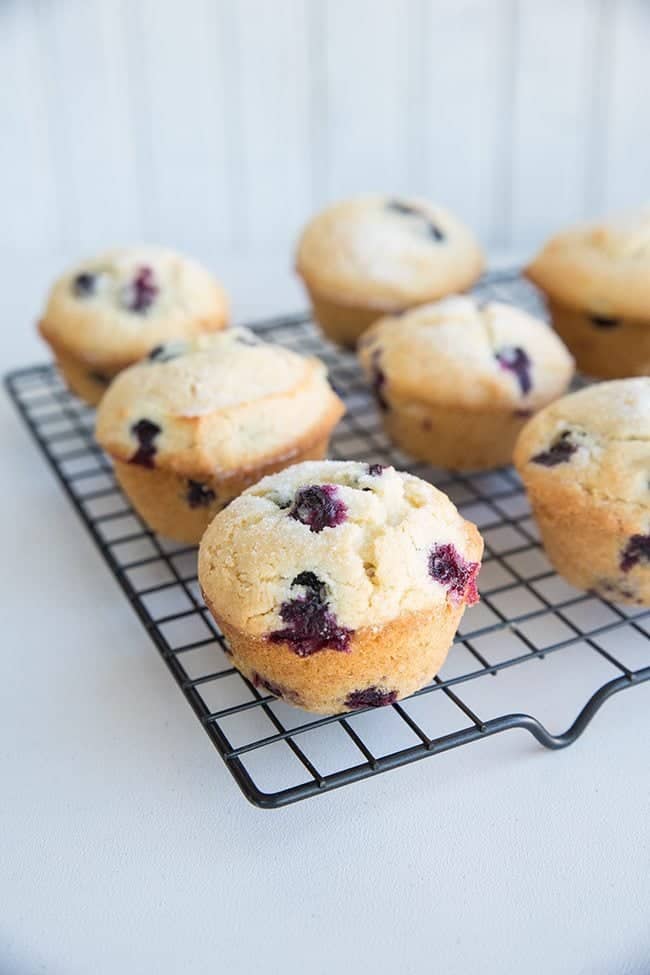 close up Bakery Style Blueberry Muffins in cooling rack
