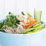 close up of a Noodle Bowl topped with assorted vegetables