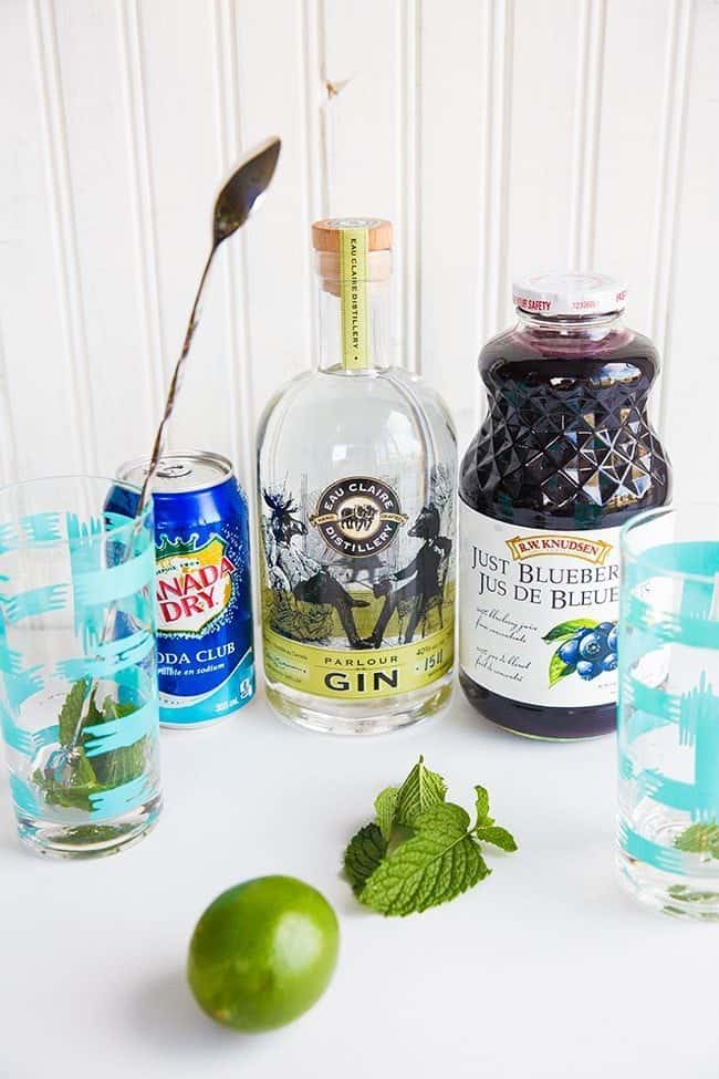 all ingredients needed in making a Blueberry Mint Gin Fizz in white background