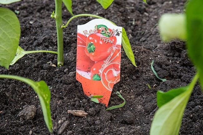 red bell peppers seed packaging