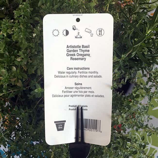 details at the back of plant's tag
