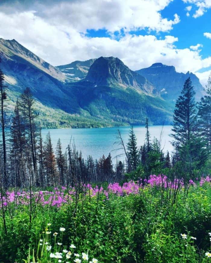 the Glacier National Park with the mountain and river view