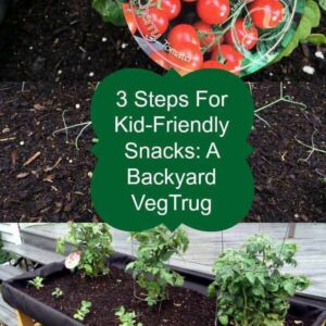 Backyard VegTrug - elevated garden planter for growing fruit, vegetables and herbs