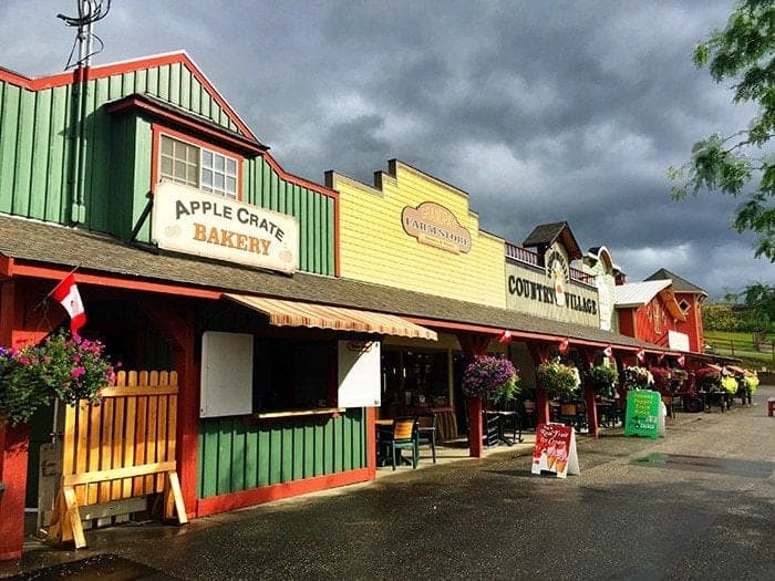 Colorful Davison Orchards Shop