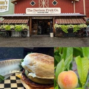 collage photo from Davison Orchards tour