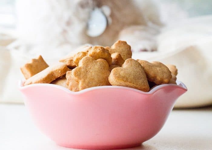Peanut Butter & Honey Homemade Dog Treats