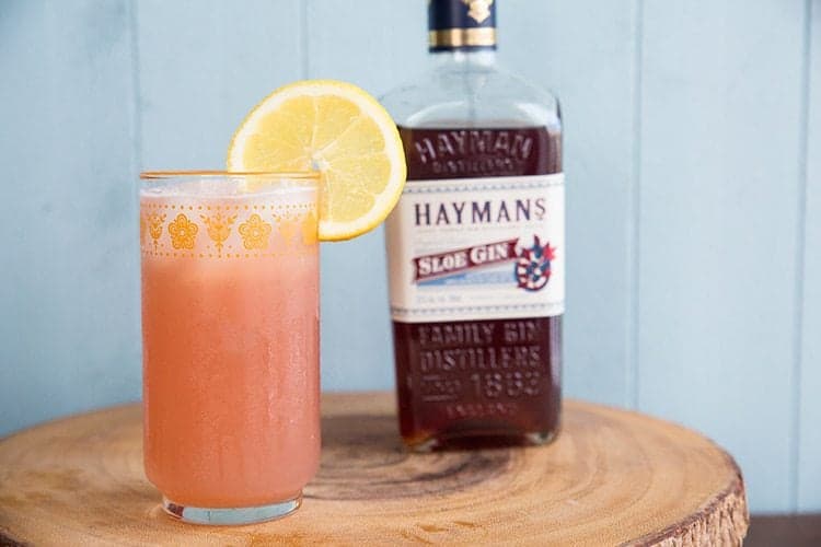 a glass of Sloe Gin Fizz garnish with a slice of lemon, a bottle of Hayman's brand sloe gin at the back