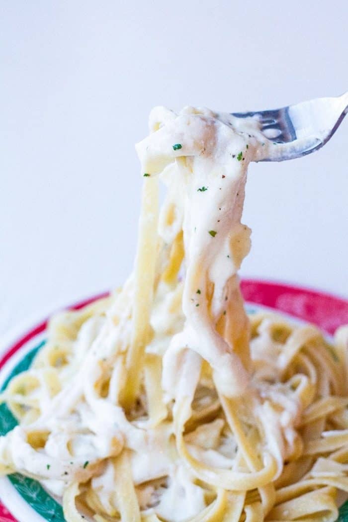 Alfredo Sauce on fettuccine noodles swirled on a fork