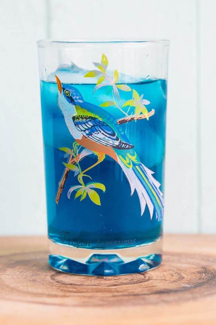 Close up of Bluebird Cocktail on a glass with blue bird print