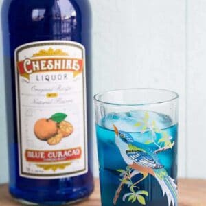 Bluebird Cocktail on a glass with blue bird print, a bottle of Blue Curacao on background