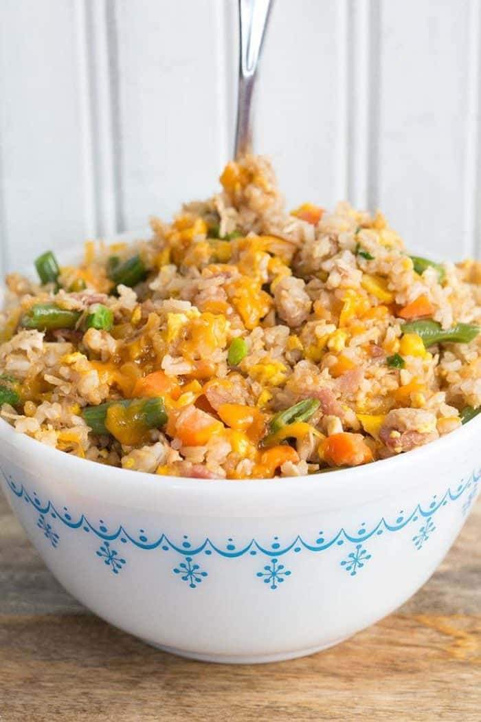 Close up of Fried Rice in a white bowl topped with green onions and cheese