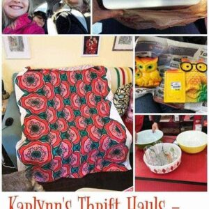 Collage photo of Karlynn's Thrift Hauls