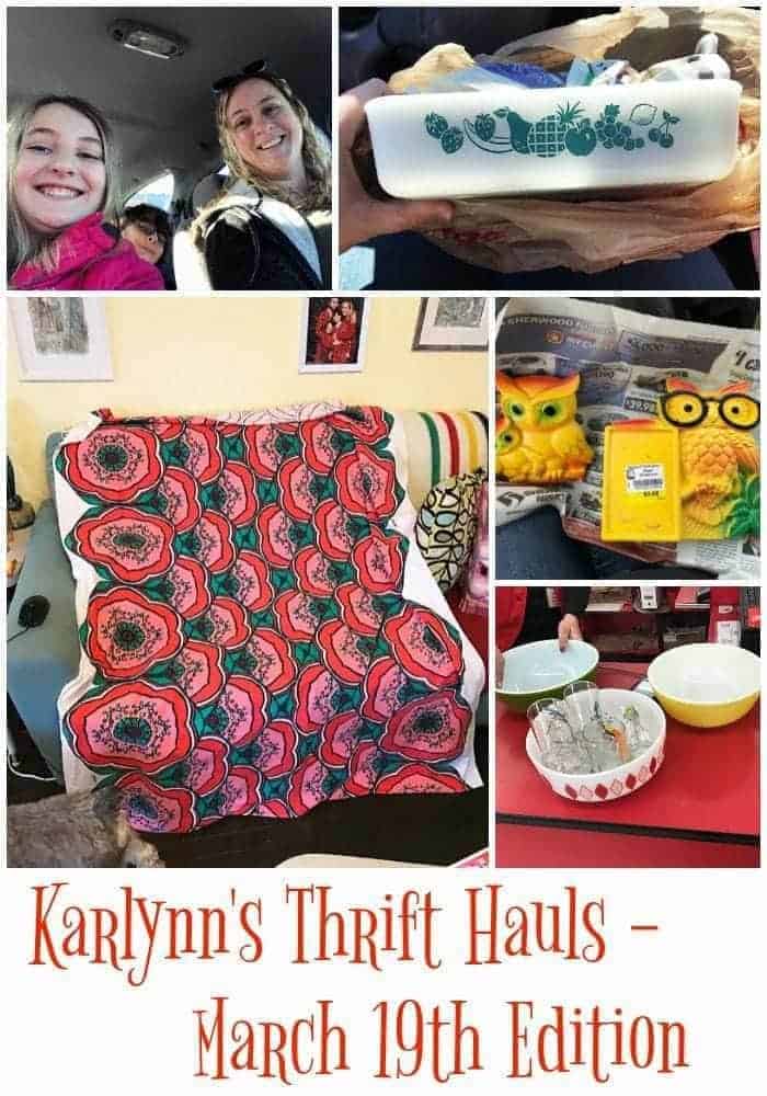 Collage photo of Karlynn's Thrift Hauls