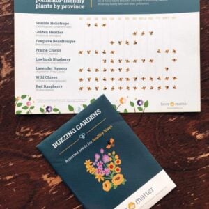 seed packet and a card showing what better time to plant a pollinator