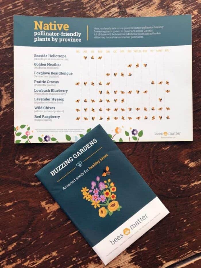seed packet and a card showing what better time to plant a pollinator