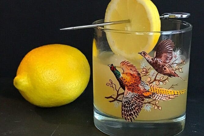 Fresh lemon fruit beside a vintage glass with Boating Punch Cocktail garnish with a slice of lemon