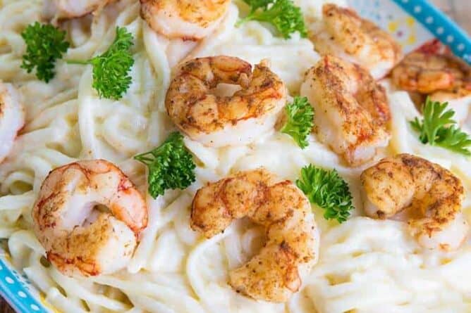 close up Shrimp Alfredo on a floral blue plate ready to enjoy!