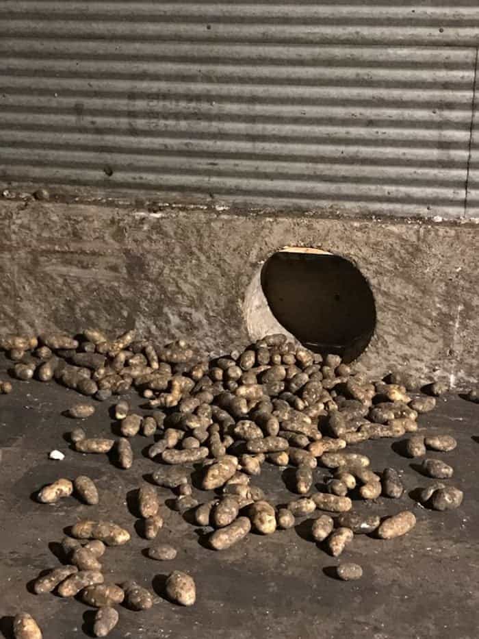 one of the many air ducts in the potato storage