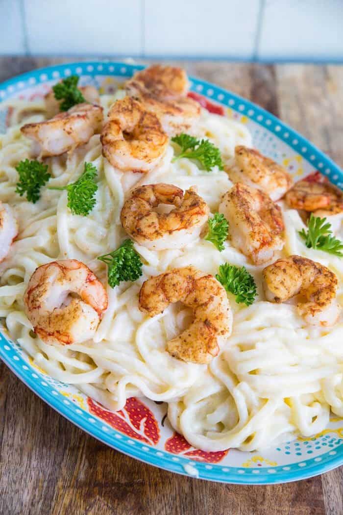close up Shrimp Alfredo on a floral blue plate ready to enjoy!