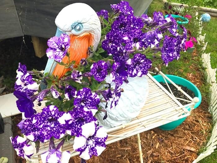 Swan figure with violet color flowers in Blooming, Buzzing Garden 