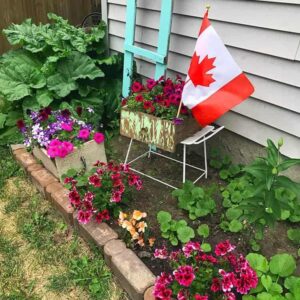 My Blooming, Buzzing Garden witth Canadian flag and wood ladder