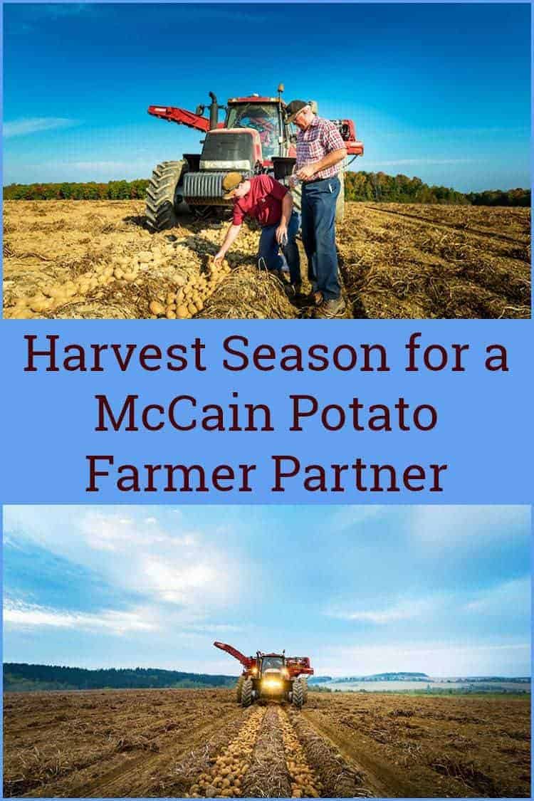 McCain brings back Stranger Things' Barb to talk sustainable potato farming  
